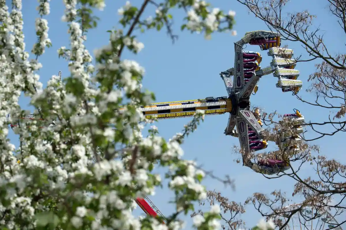 Фестиваль цветения деревьев в Вердере