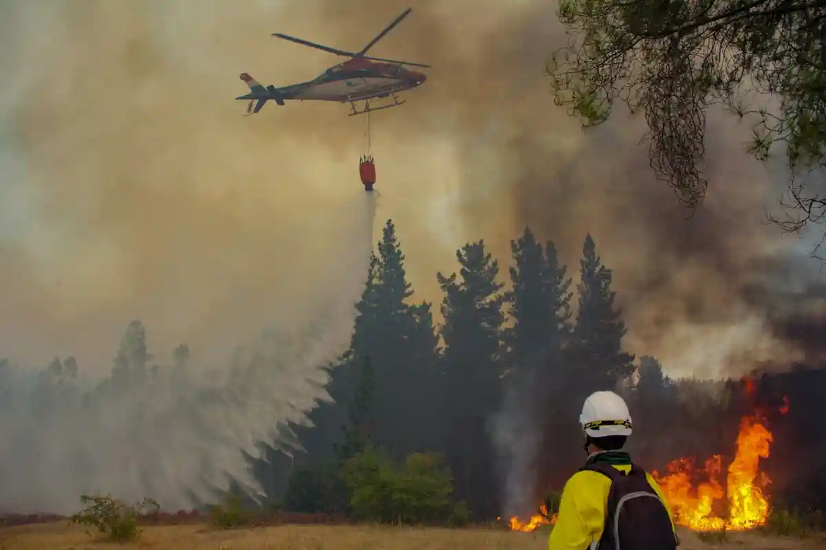 Лесные пожары в Чили