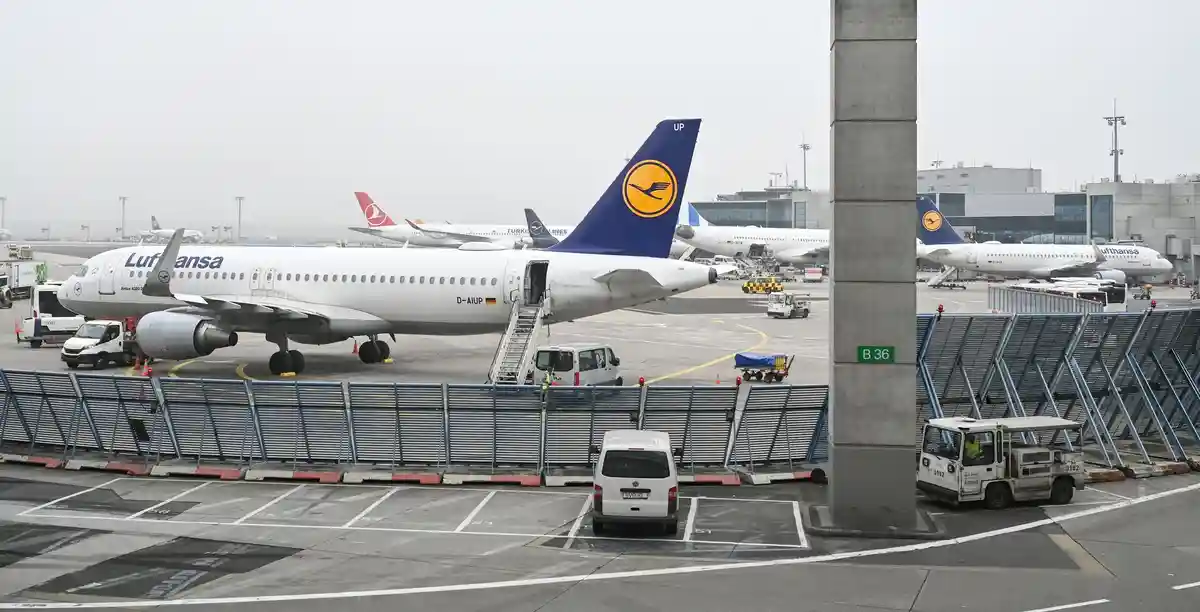 Железная дорога против Lufthansa? Реакция на сбои в Twitter