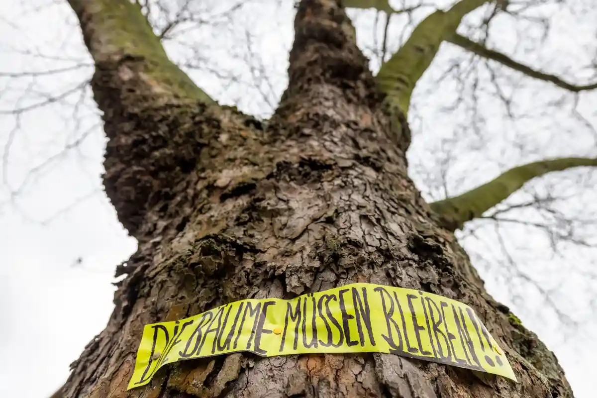 Протест против вырубки деревьев в Дуйсбурге