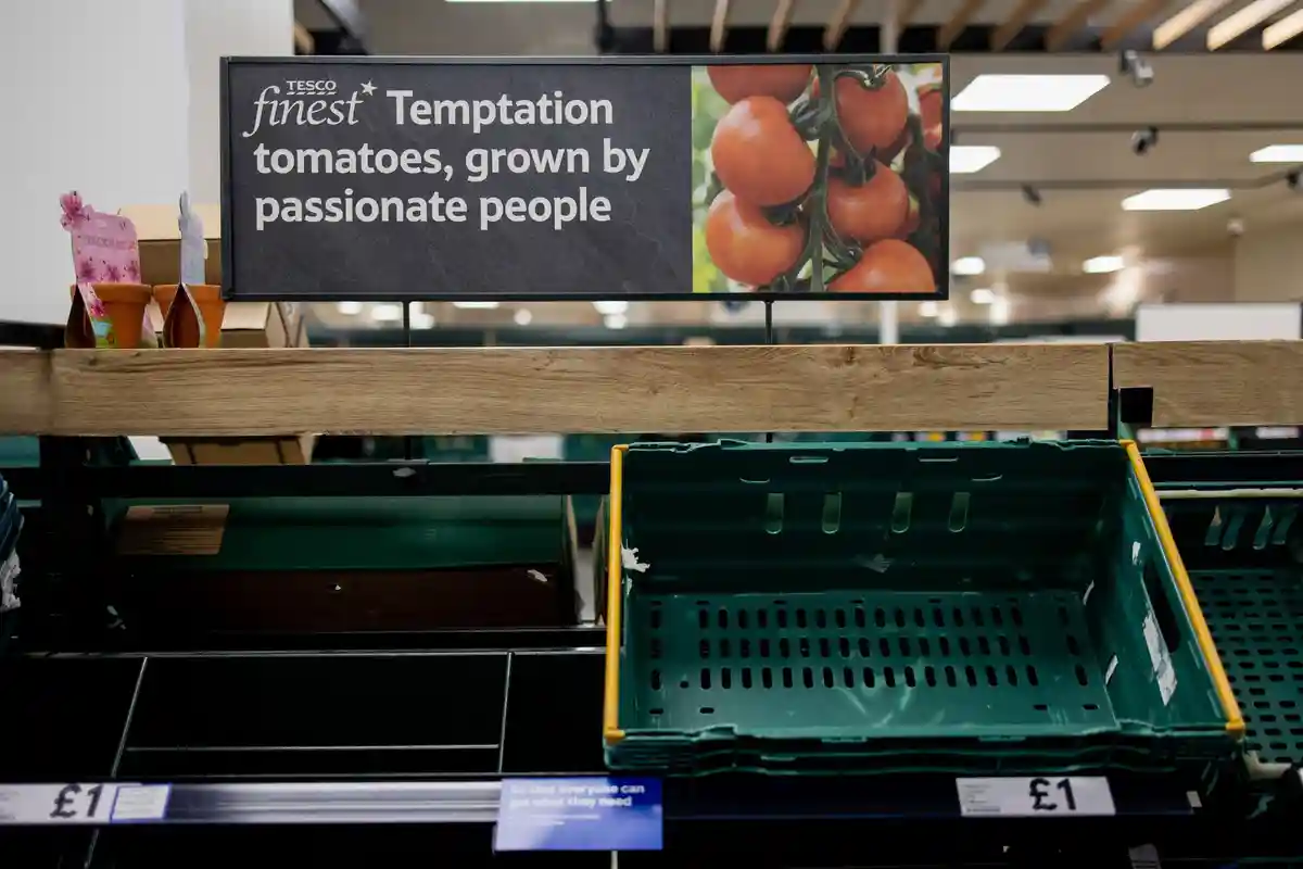 Английские производители овощей предупредили о кризисе