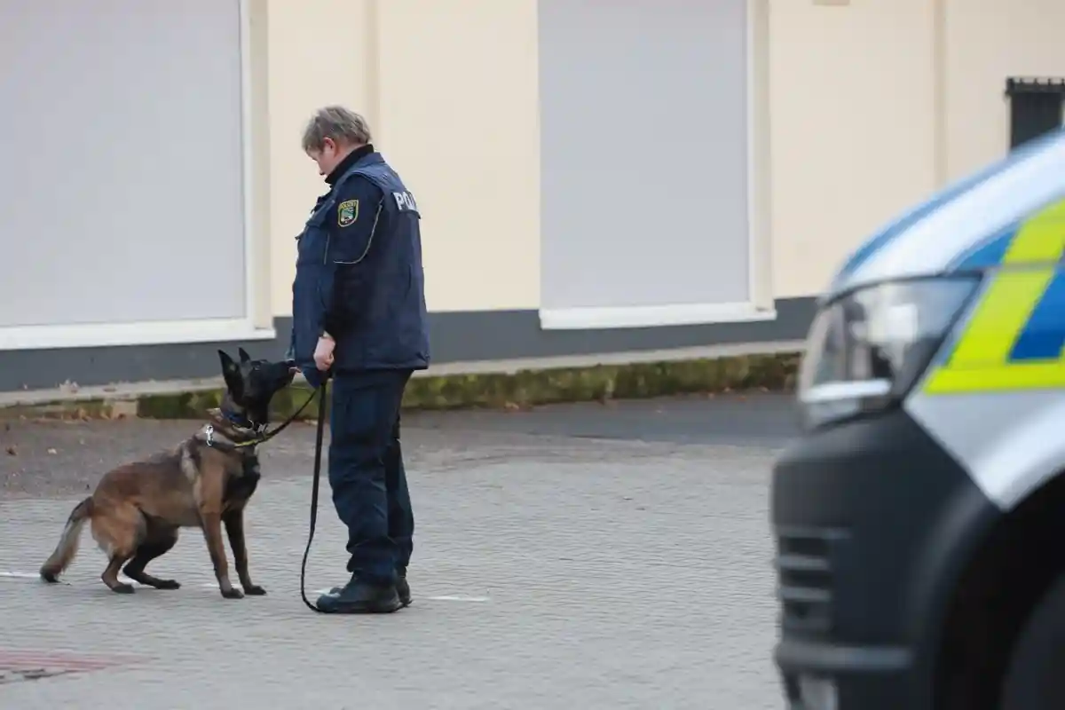 Служебные собаки полиции земли Саксония-Анхальт