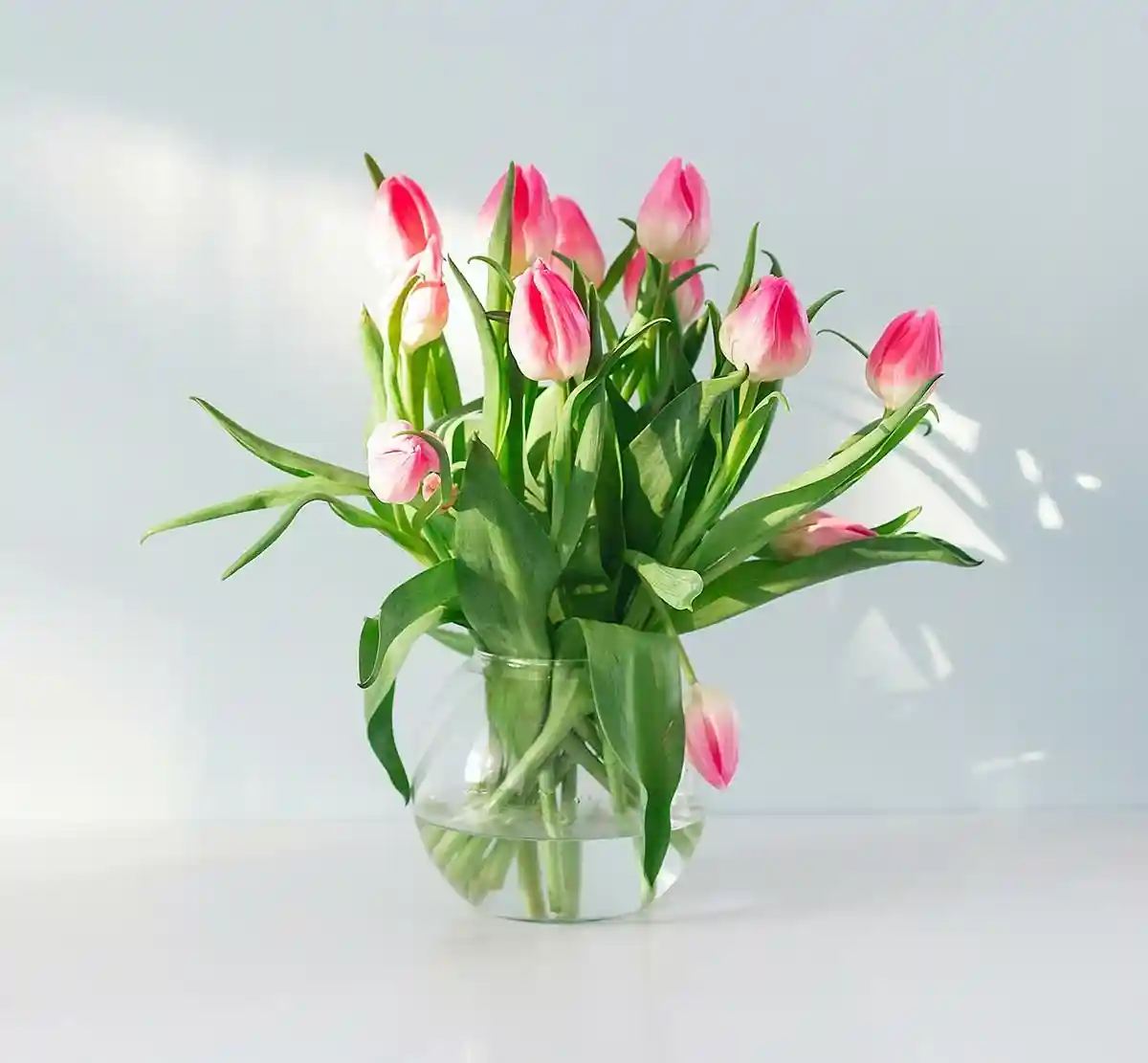 6 советов, как сохранить свежесть тюльпанов. Фото: unsplash.com