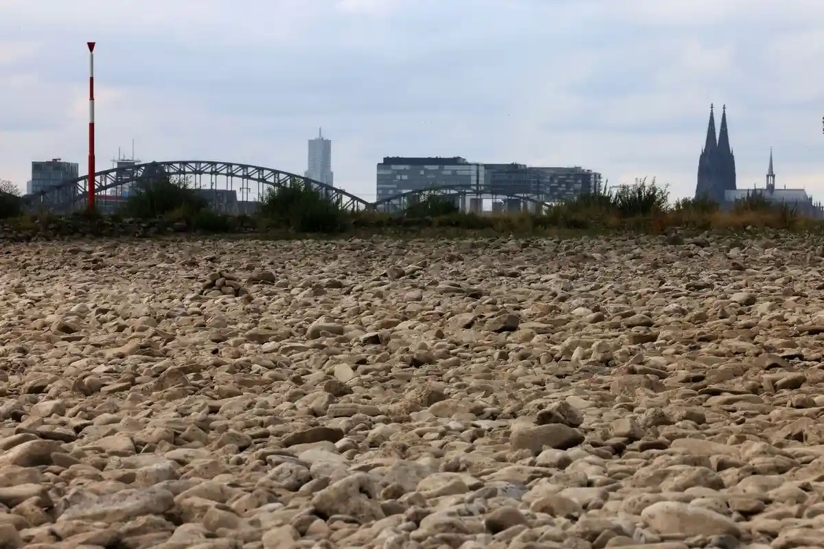 Засуха на Рейне