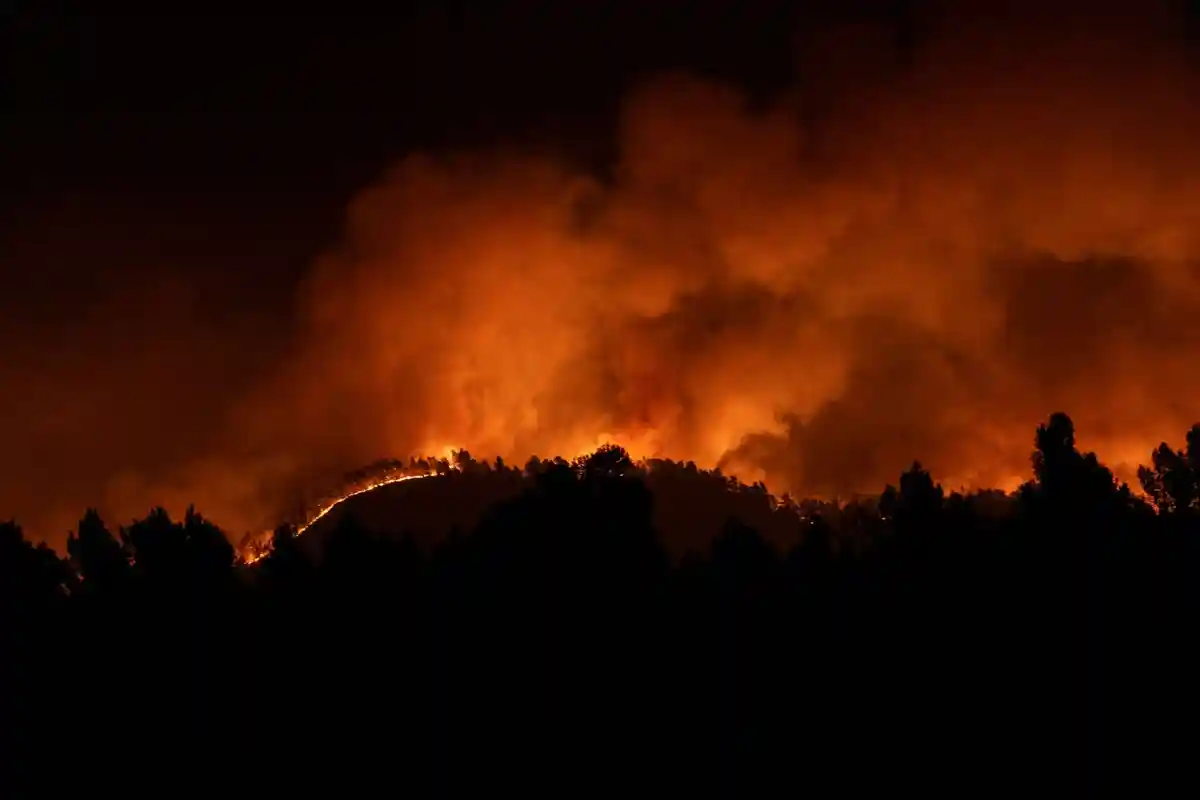 Лесной пожар в Испании - первый крупный в этом году