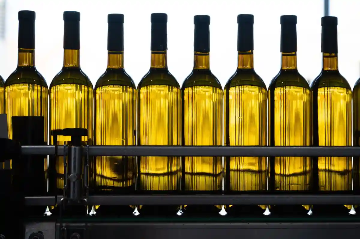 Виноградари наращивают производство вина в Германии