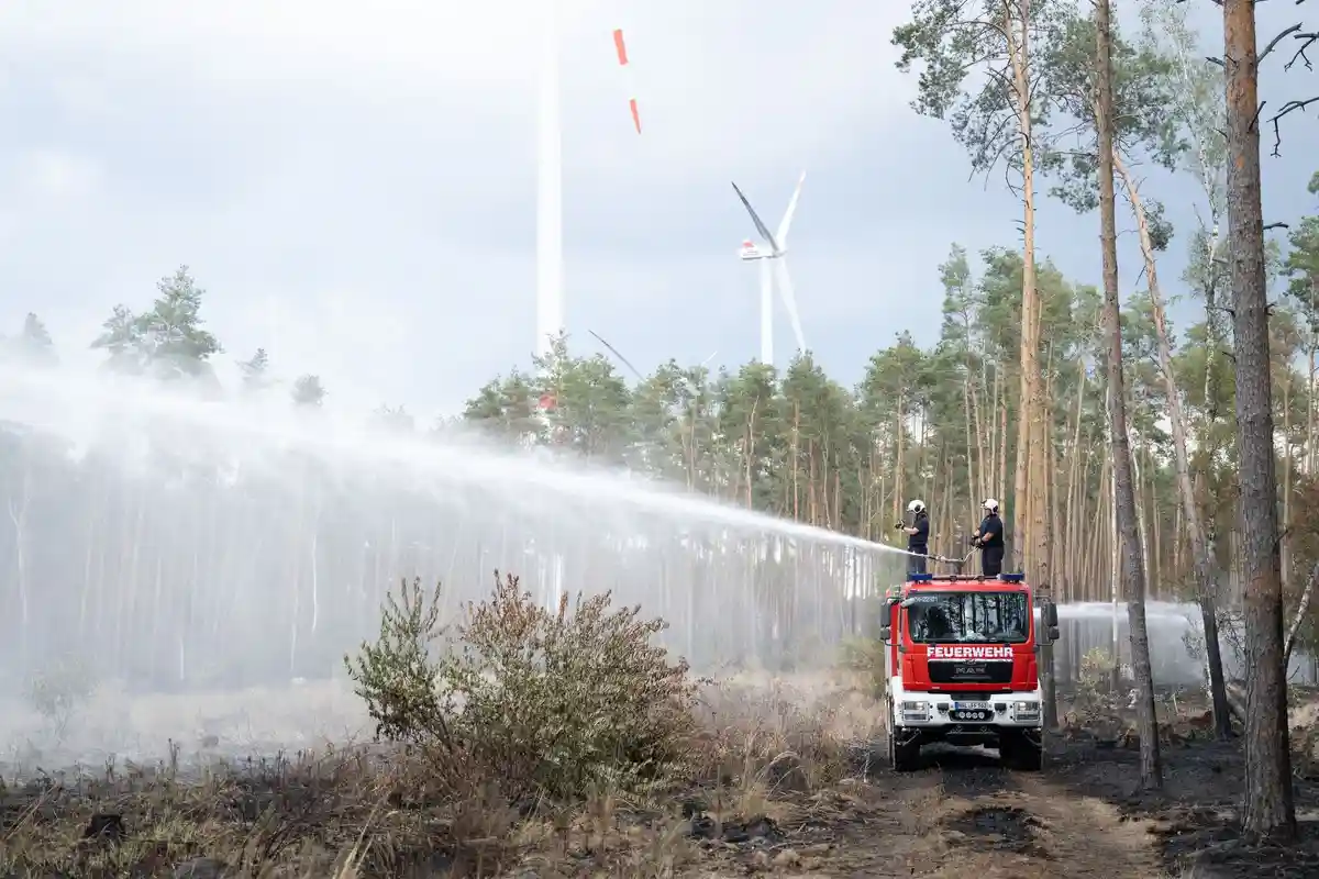 Растет опасность лесных пожаров в Бранденбурге