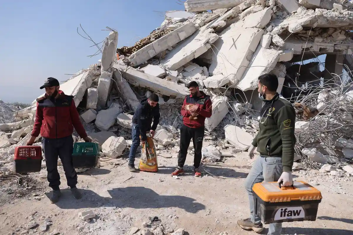 После землетрясения в Сирии