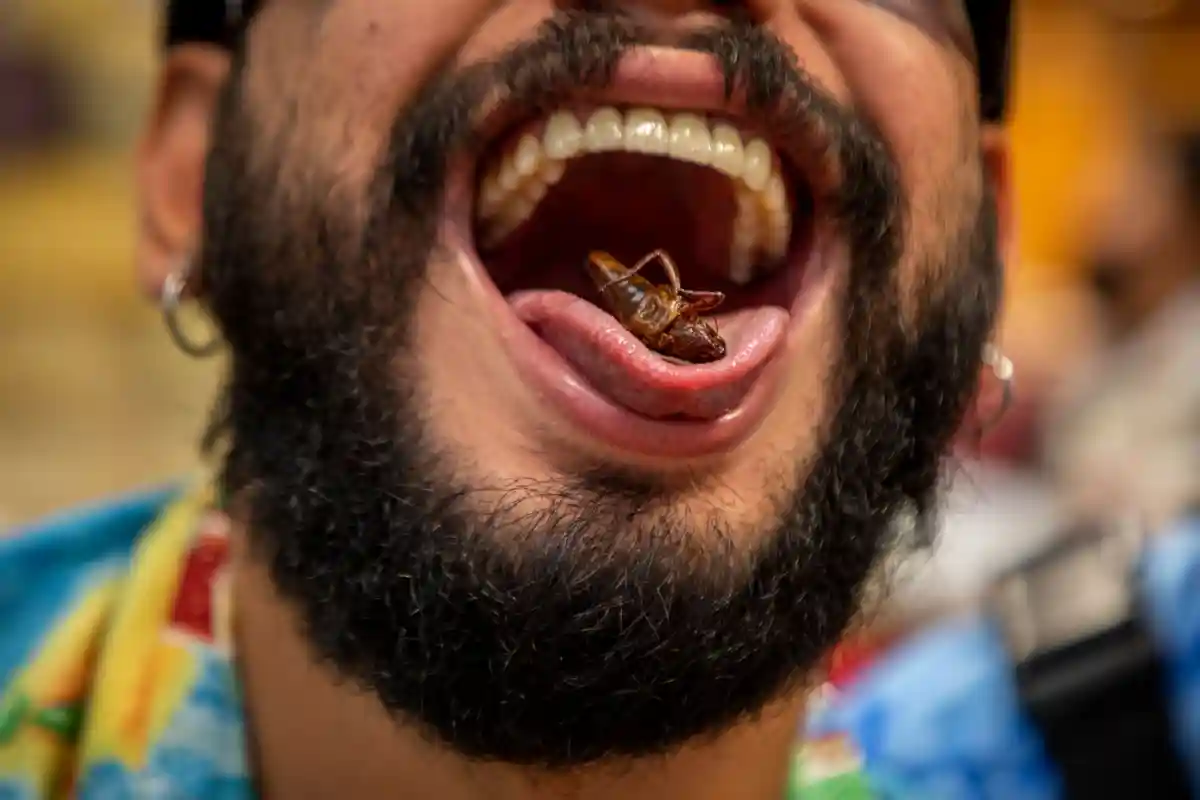 Міністр сільського господарства МВ бачить комах як їжу