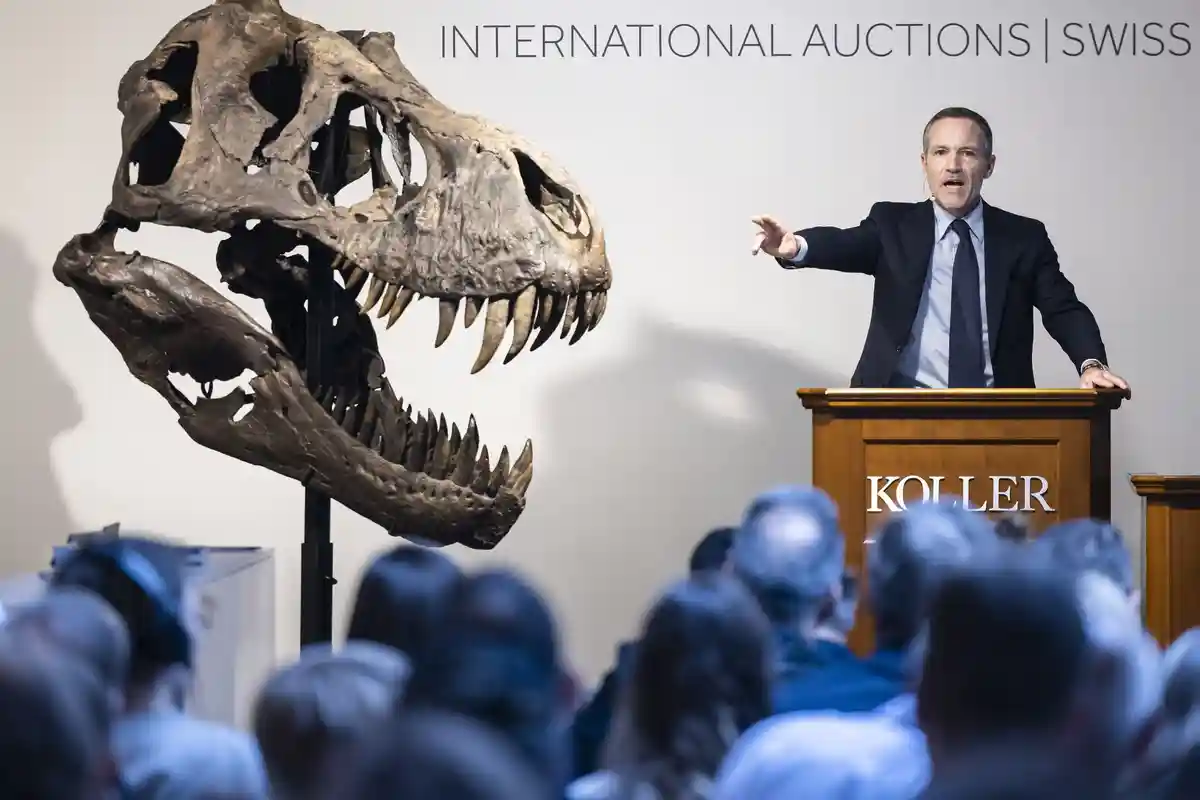 Скелет T.rex остался в Европе после аукциона