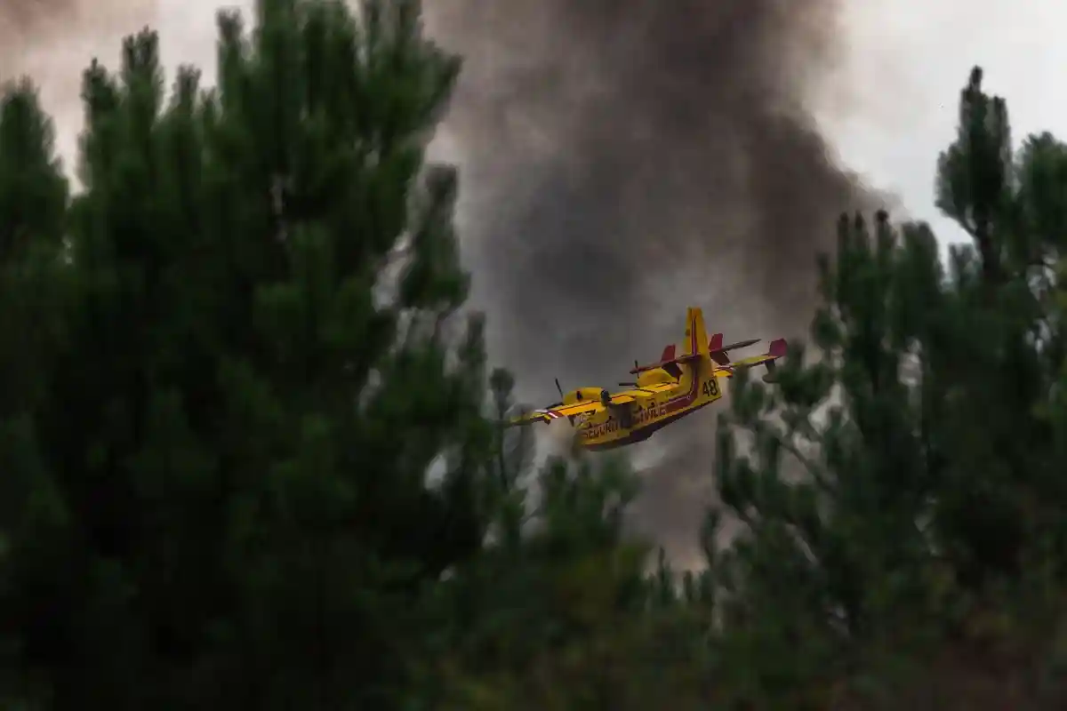 Франция готовится к лесным пожарам