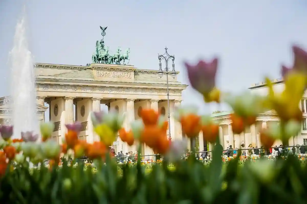 5 причин, по которым жизнь в Германии изменит вас как личность