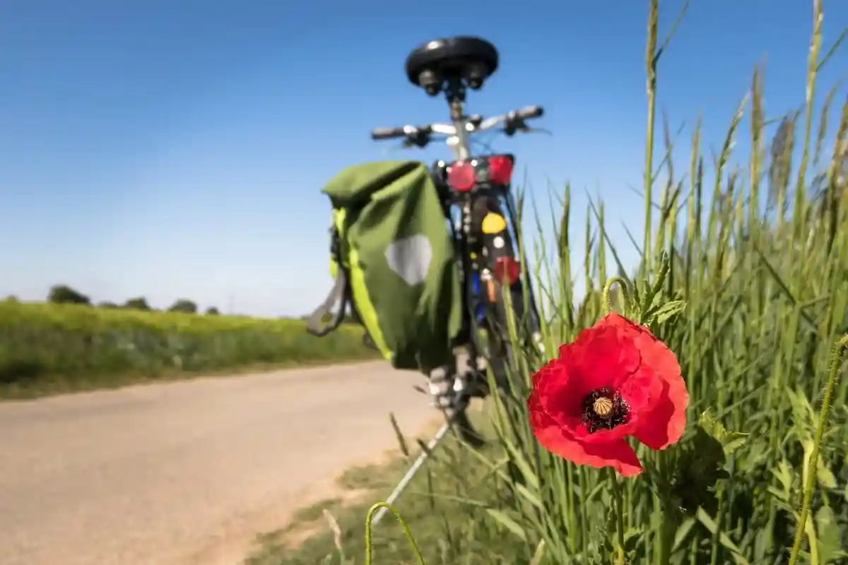 Неизвестные велосипедные дорожки в Германии могут удивлять. Фото: Didgeman / pixabay.com