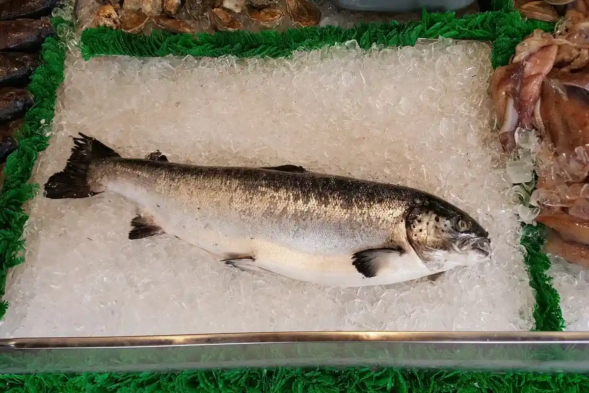 Отзыв рыбы в Германии
