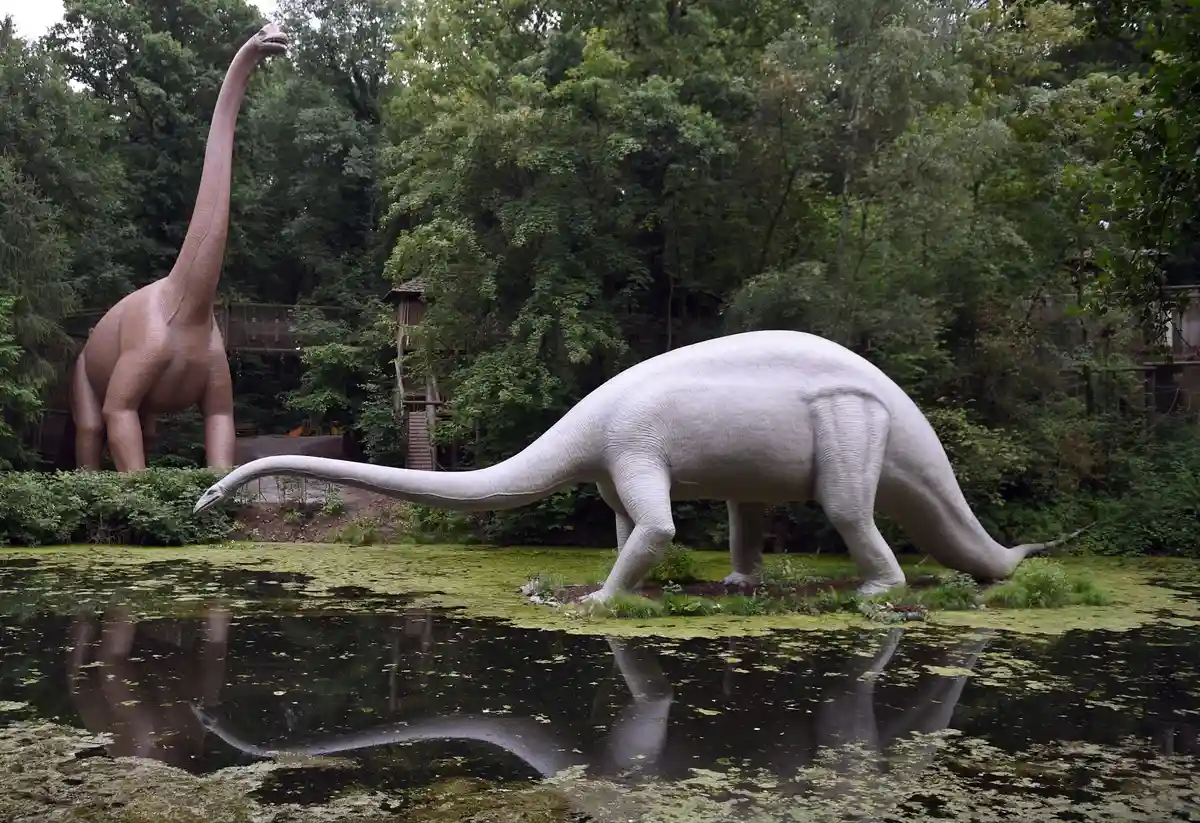 Брахиозавр и диплодок