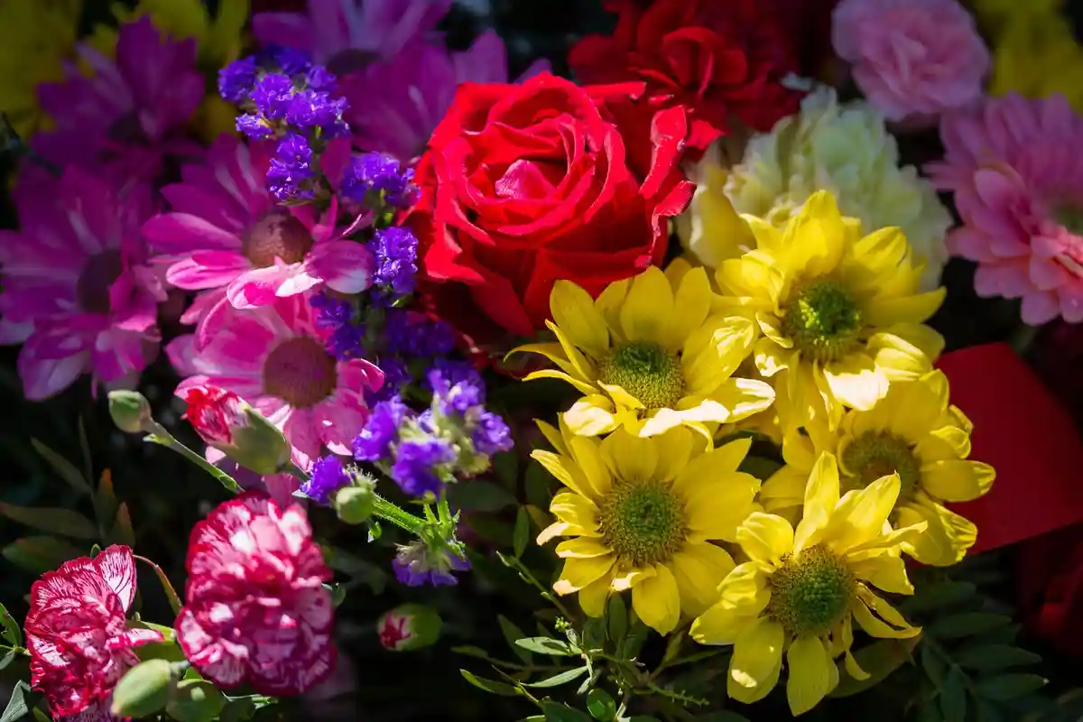 Перед Днем матери: цветы становятся предметом роскоши