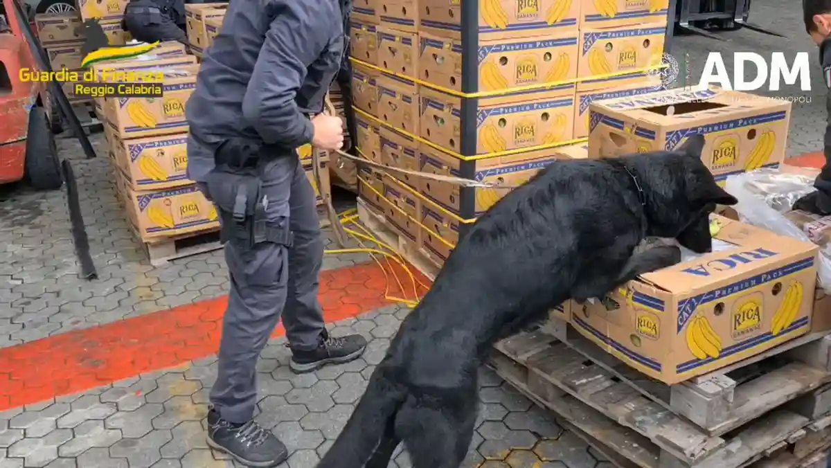 Полиция Италии обнаружила 2,7 тонны кокаина среди бананов