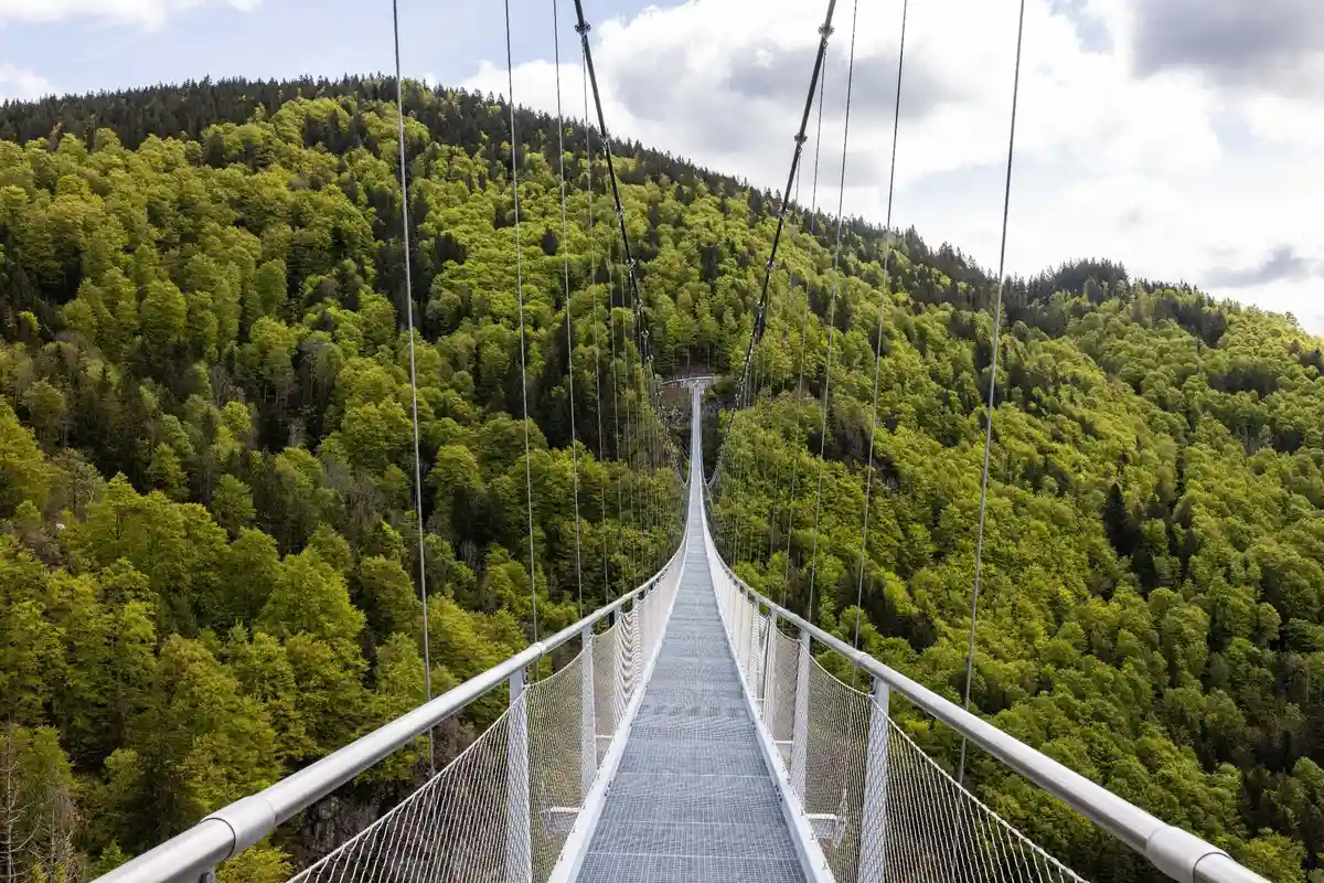 Пешком через водопад: открытие подвесного моста в Шварцвальде
