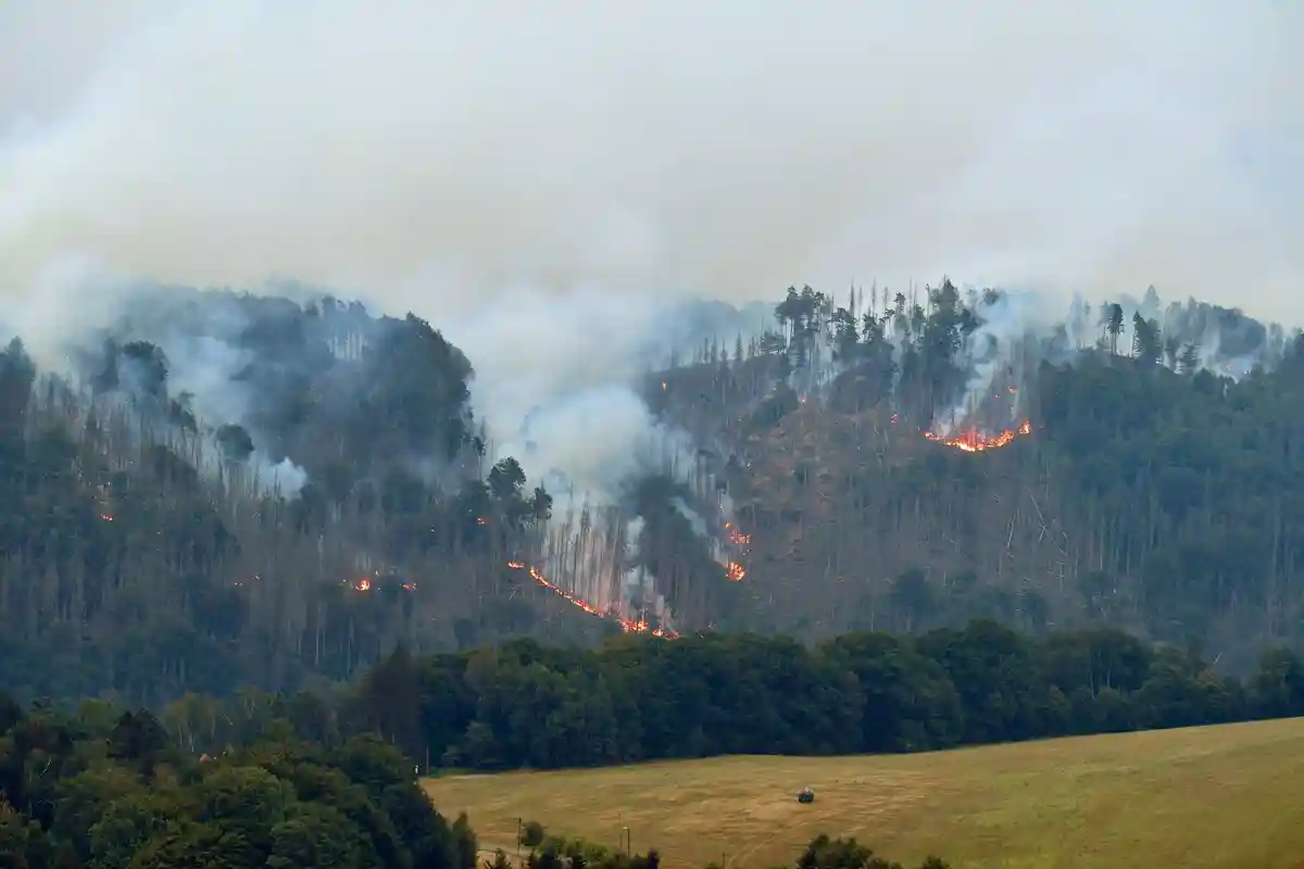 Возросла опасность лесных пожаров