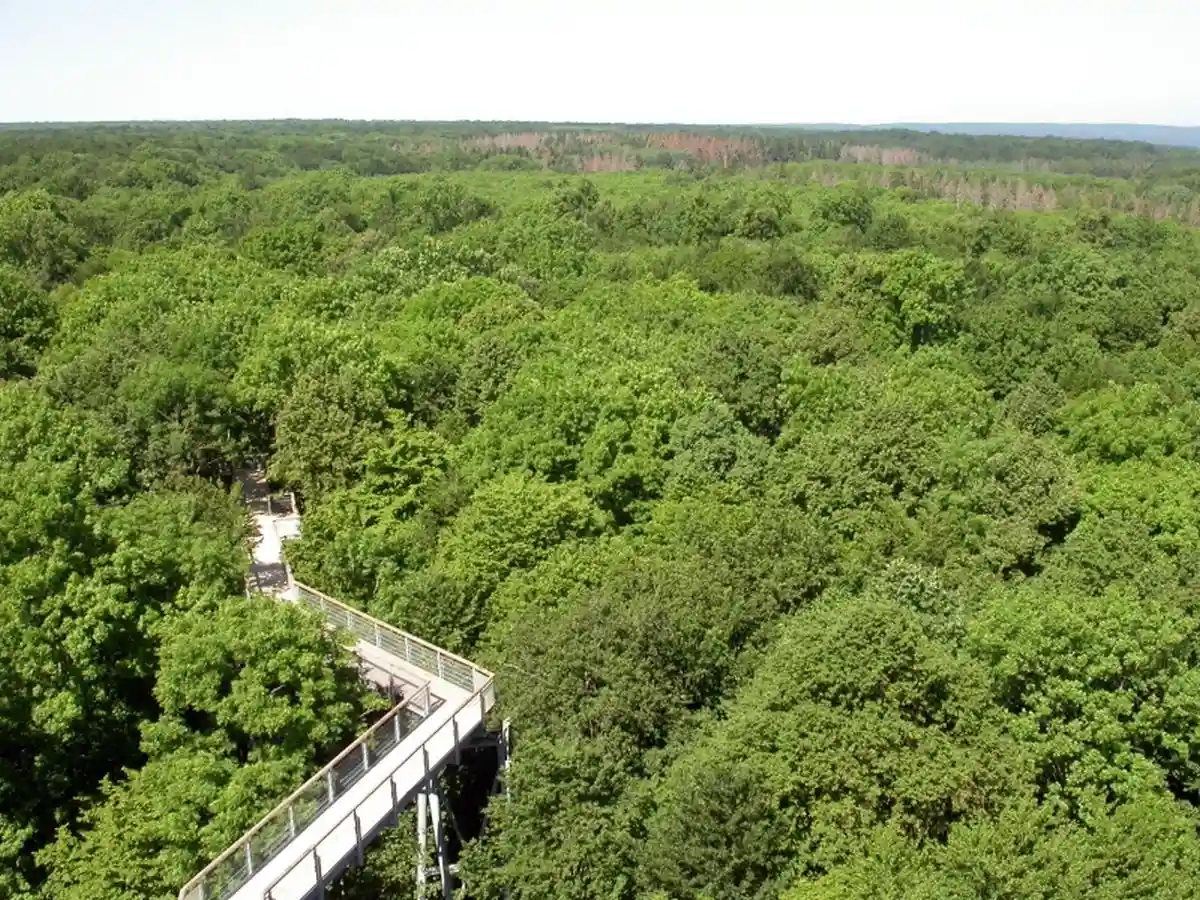 Национальный парк Хайних - сокровище Германии
