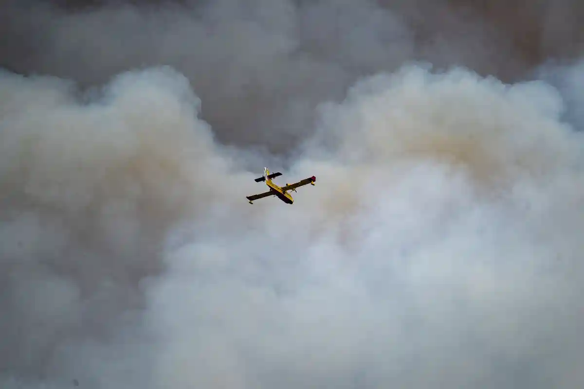 Лесной пожар в Испании