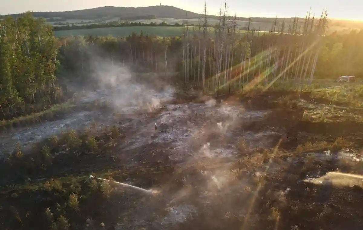 Лесной пожар вблизи Пульсница взят под контроль
