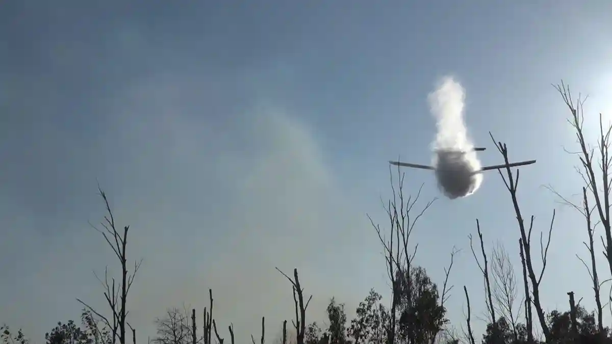 Два пожарных самолета на лесном пожаре близ Ютербога
