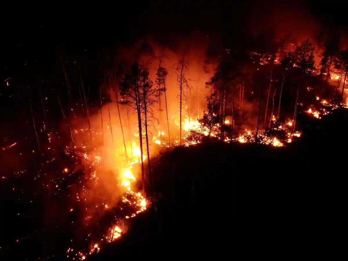 Лесной пожар бушует вблизи Ютербога