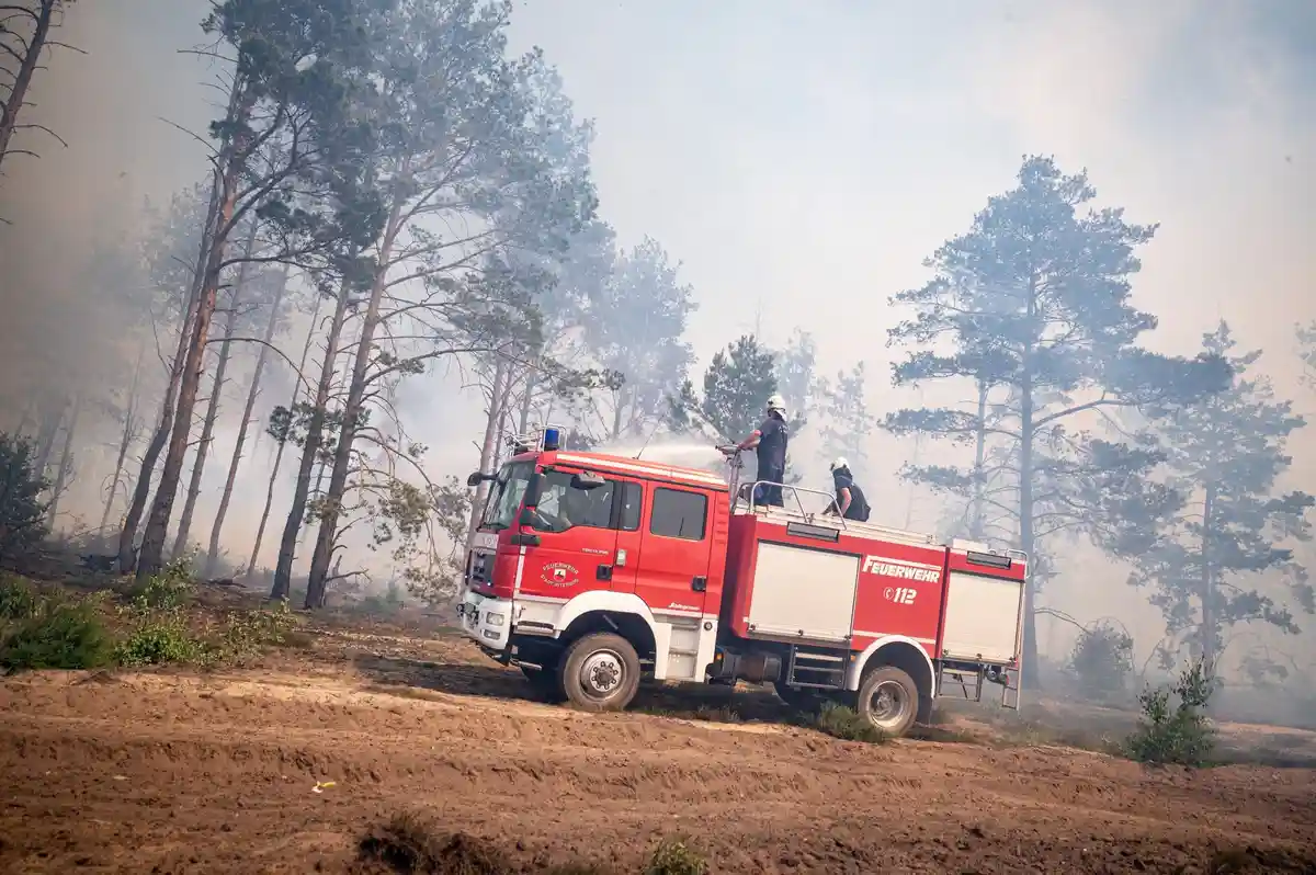 Охрана лесов от пожаров: "Ветер для нас - дьявол"