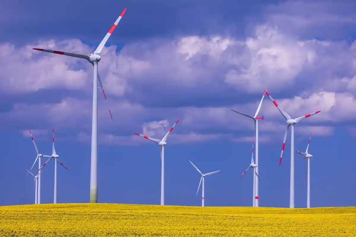 Ветряки выработали больше энергии, чем уголь