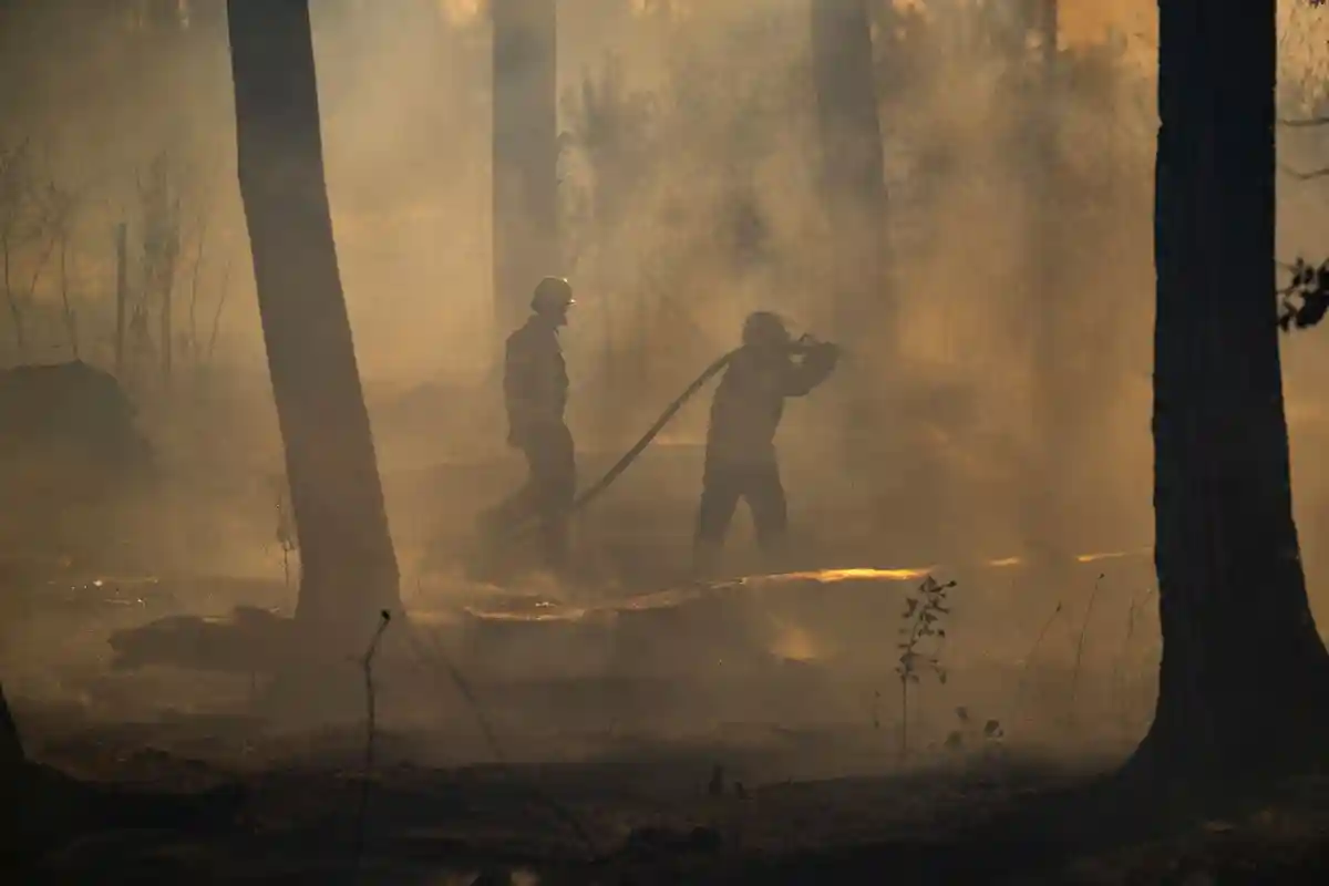 Повышенный риск лесных пожаров: особенно в Южном Гессене