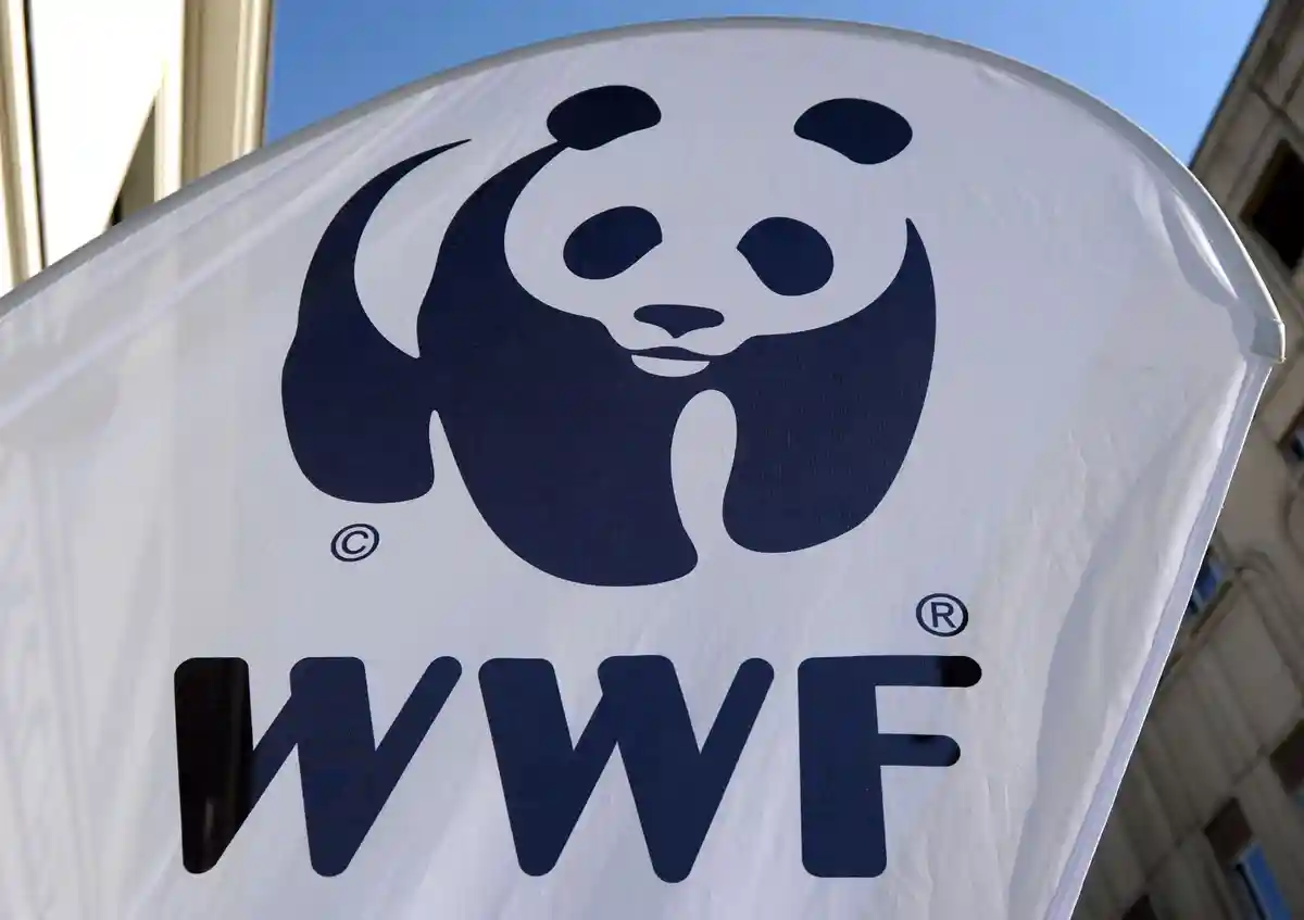 WWF Германии: нужен мораторий на расширение реки Одер