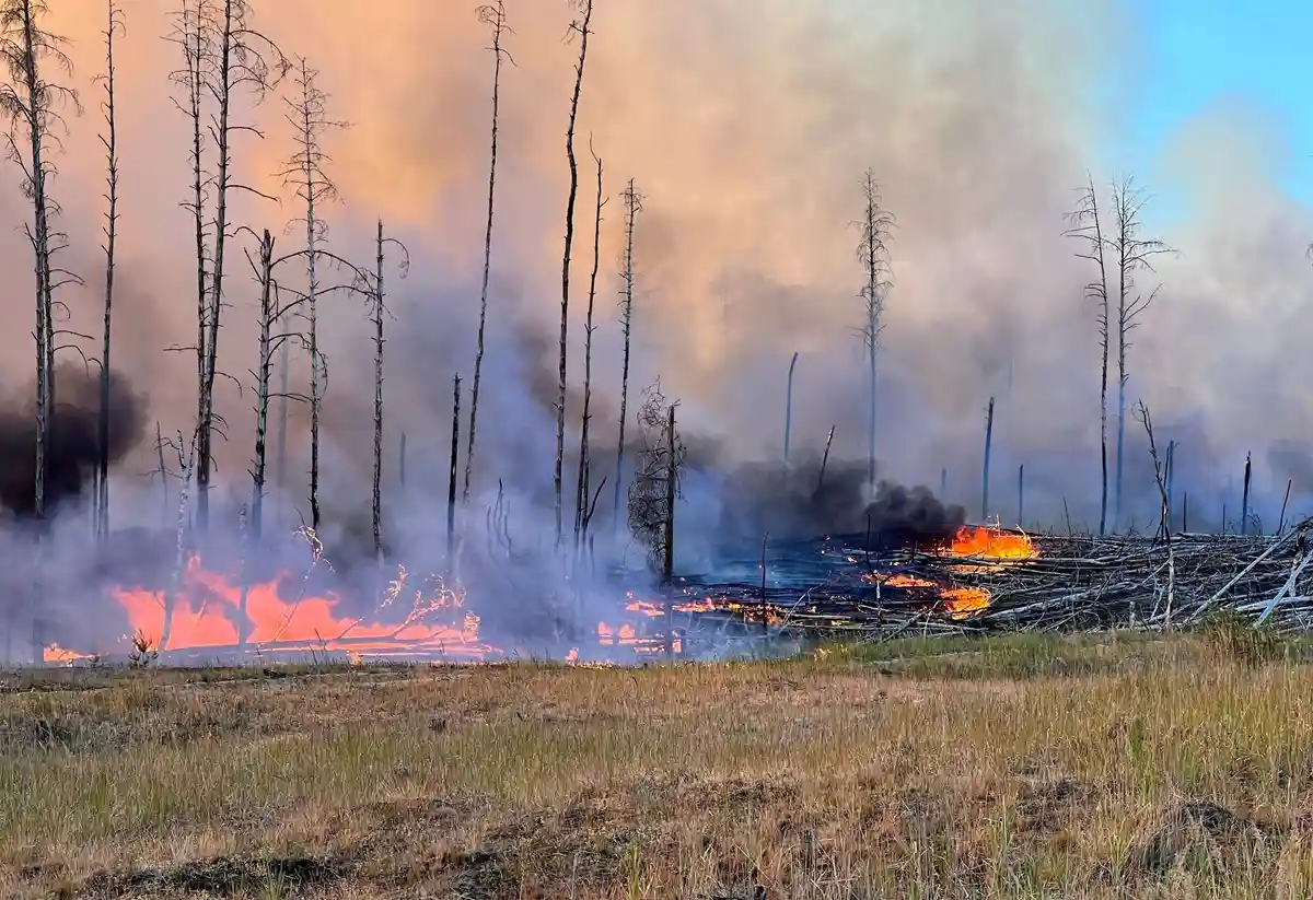 Дым от лесных пожаров опасен для здоровья