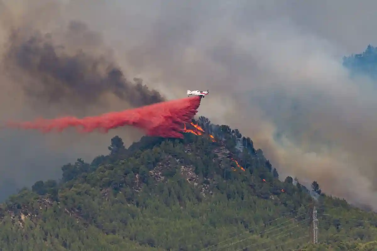 Лесные пожары в Испании