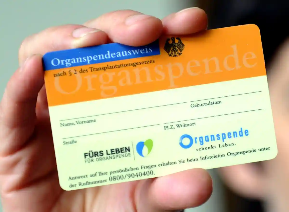 800 берлинцев ожидают донорских органов