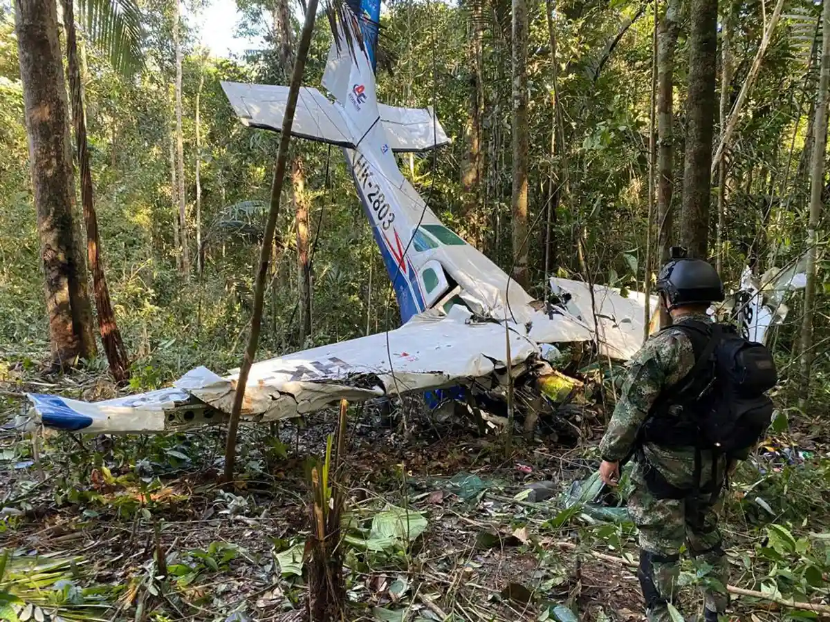 Крушение самолета в тропическом лесу