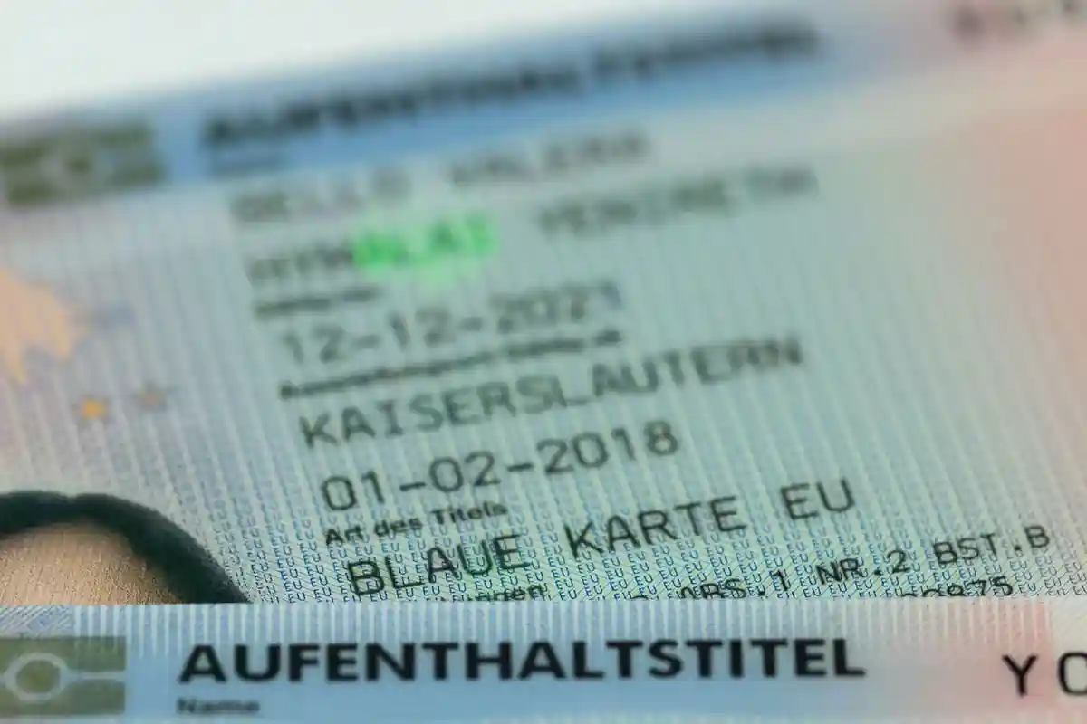 83% владельцев «голубых карт» остаются в Германии более 5 лет