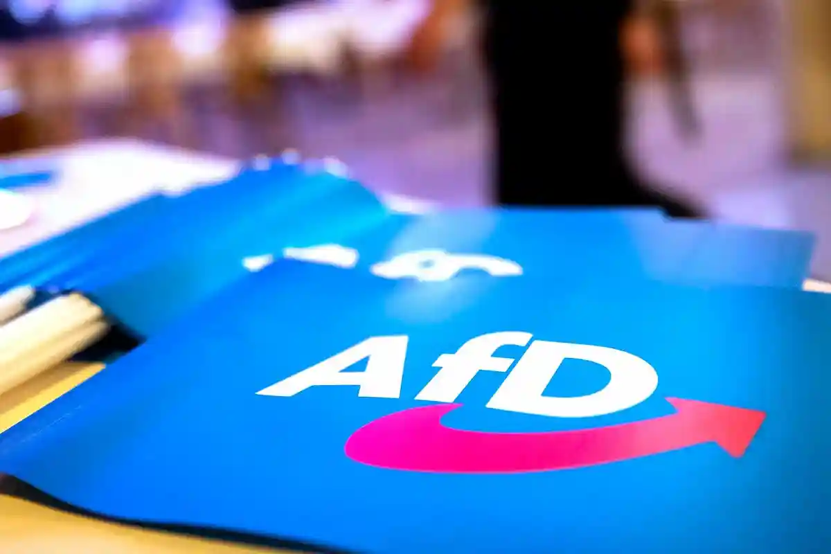 Выборы AfD больше не являются протестом: "Избиратели хотят эту партию"