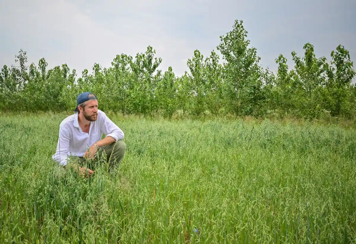 Как фермер из Бранденбурга хочет защитить землю от засухи
