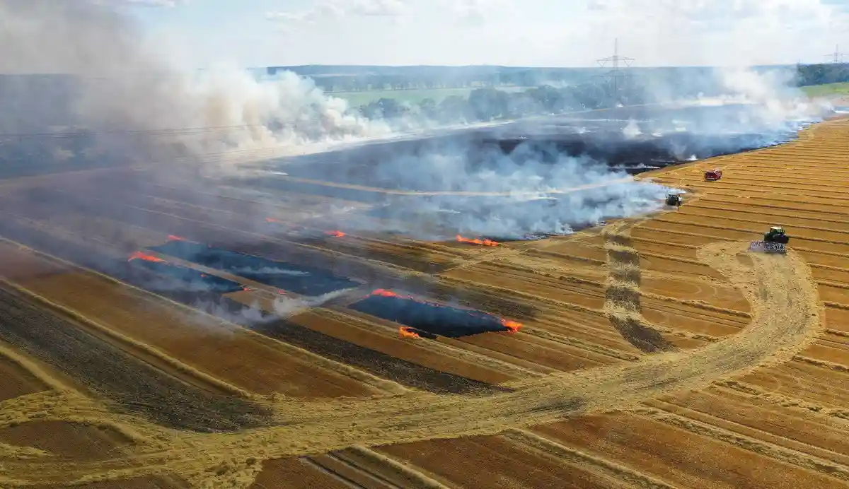 Пожар на сельскохозяйственных землях в Бранденбурге