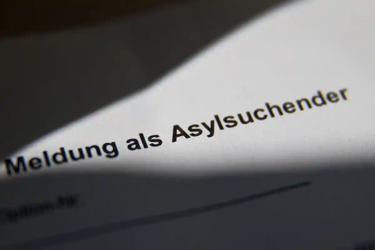 Число просителей убежища в Германии выросло
