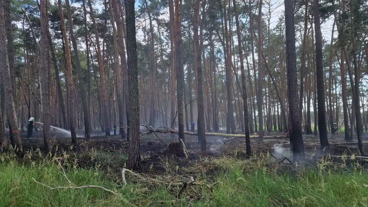 В Бранденбурге - высший уровень опасности лесных пожаров