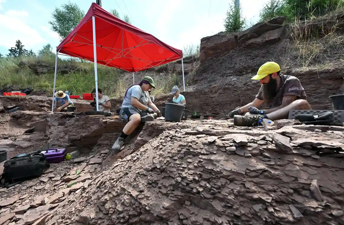 Раскопки на стоянке первобытных динозавров Бромакер