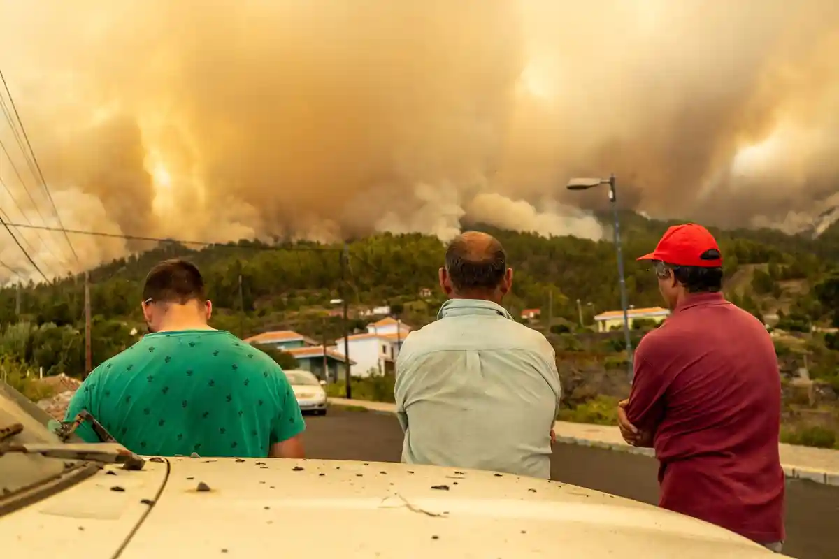 Крупный лесной пожар на Канарских островах