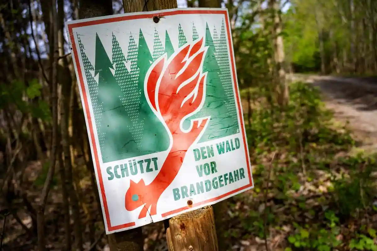 Риск лесных пожаров в Бранденбурге снизился