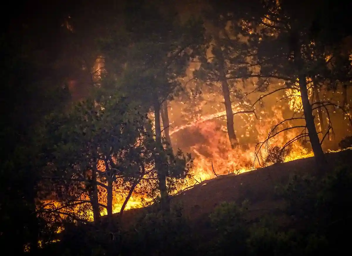Лесные пожары на Родосе