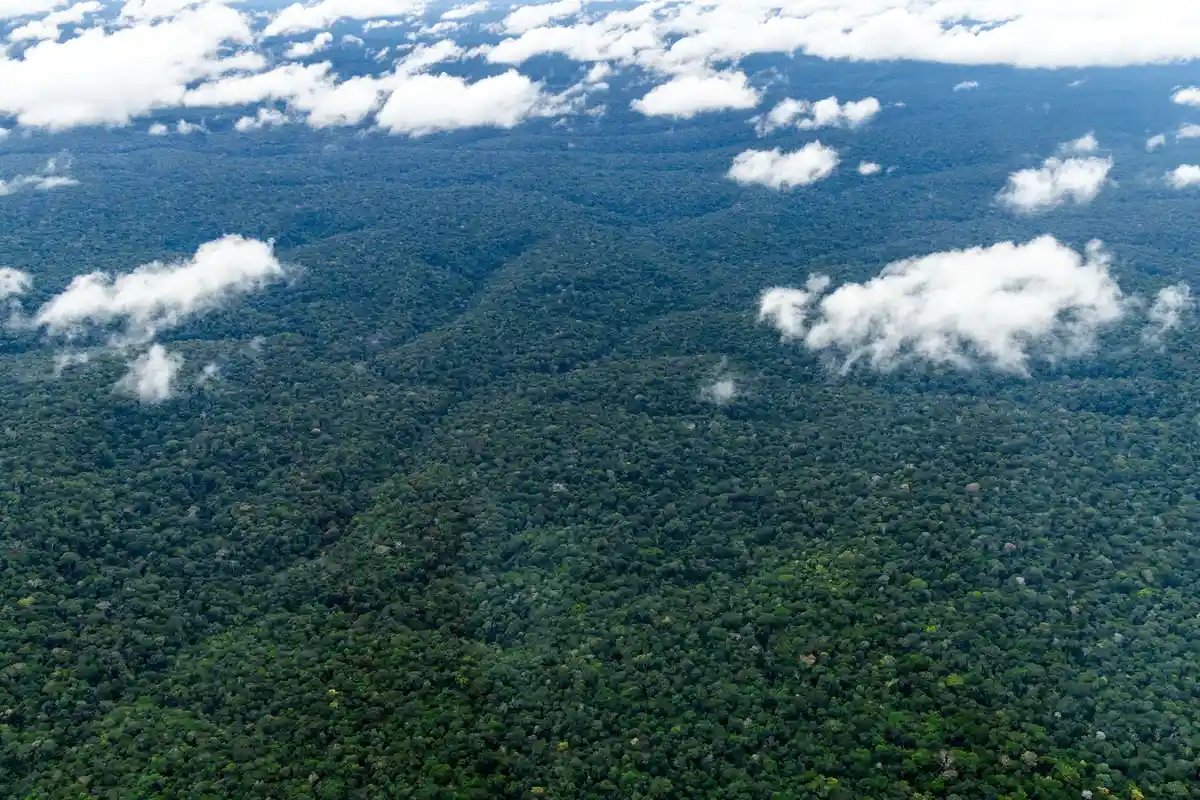 Nasa поможет Бразилии спасти тропические леса