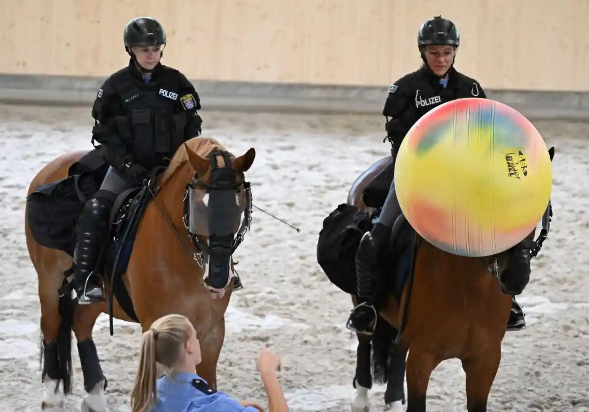 Полицейские лошади: защитники животных встревожены