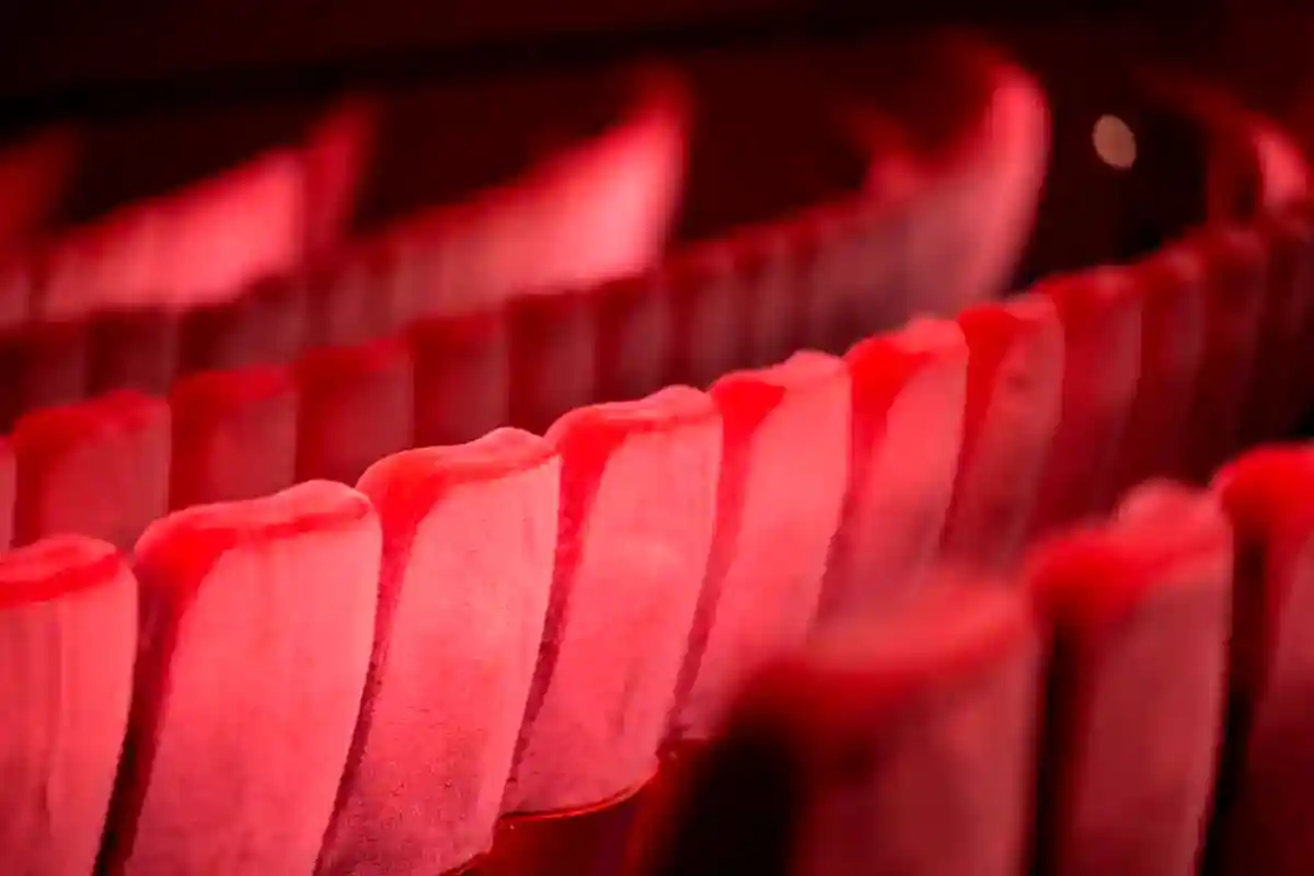 "Кино без границ" стартует в Бад-Саарове