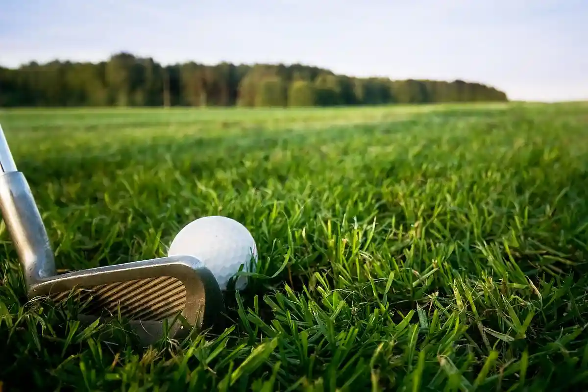 В Германии предлагают перестать тратить воду на поля для гольфа. Фото: Designed by Freepik / freepik.com"